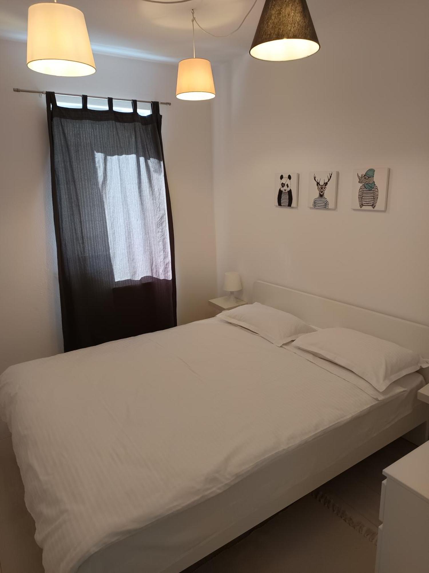 Blue Apartment 1 براشوف المظهر الخارجي الصورة